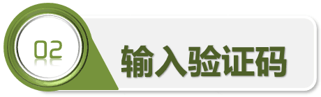 步骤2 输入验证码