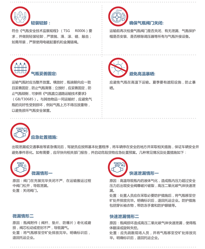 限量瓶装二氧化碳气体道路运输指南2