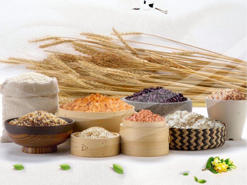 中国居民膳食指南2016