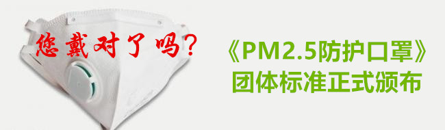 PM2.5防护口罩